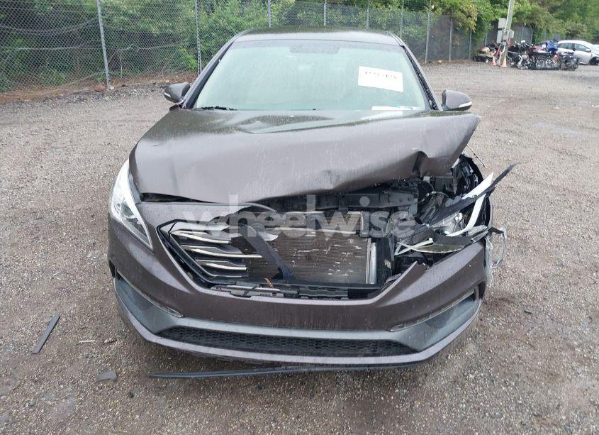Photo 13 of 2017 Hyundai Sonata SPORT (VIN 5NPE34AF5HH460681)