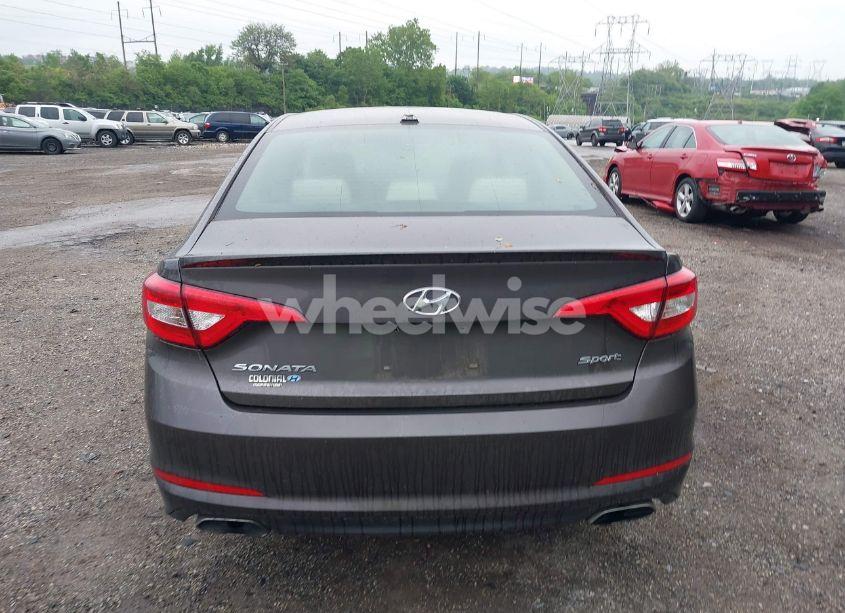 Photo 17 of 2017 Hyundai Sonata SPORT (VIN 5NPE34AF5HH460681)