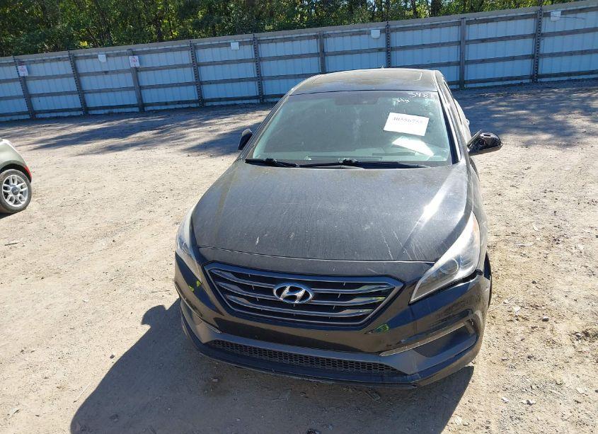 Photo 12 of 2017 Hyundai Sonata SPORT (VIN 5NPE34AF5HH503481)
