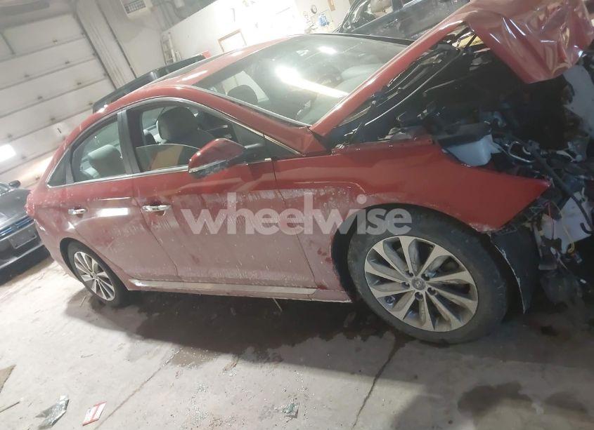 Photo 14 of 2017 Hyundai Sonata SPORT (VIN 5NPE34AF5HH591495)