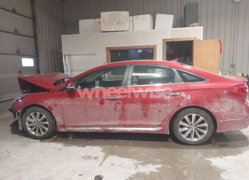 Photo 15 of 2017 Hyundai Sonata SPORT (VIN 5NPE34AF5HH591495)