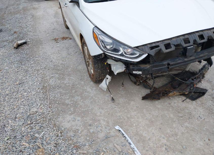 Photo 17 of 2018 Hyundai Sonata LIMITED (VIN 5NPE34AF5JH673684)