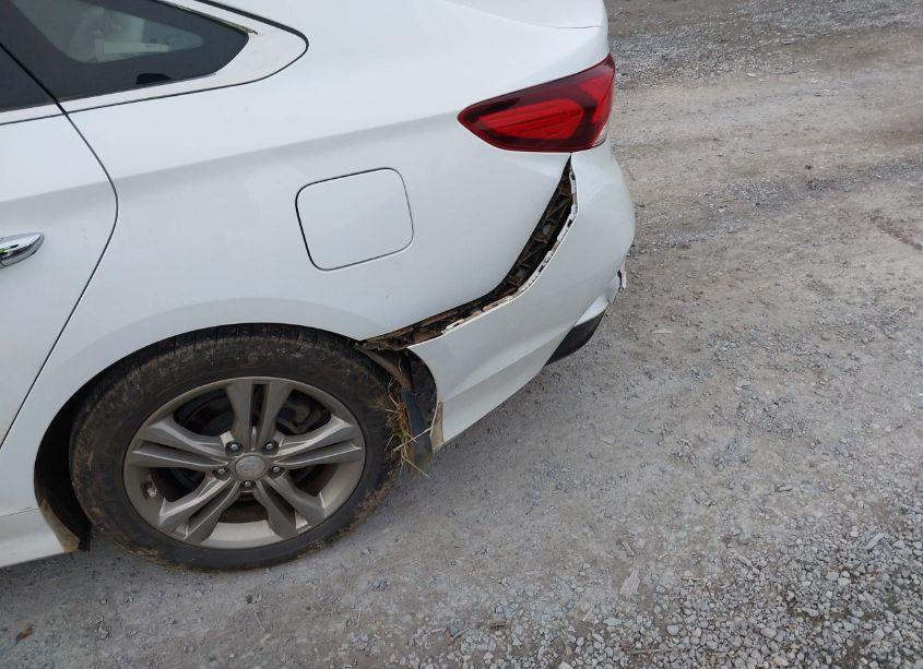 Photo 19 of 2018 Hyundai Sonata LIMITED (VIN 5NPE34AF5JH673684)