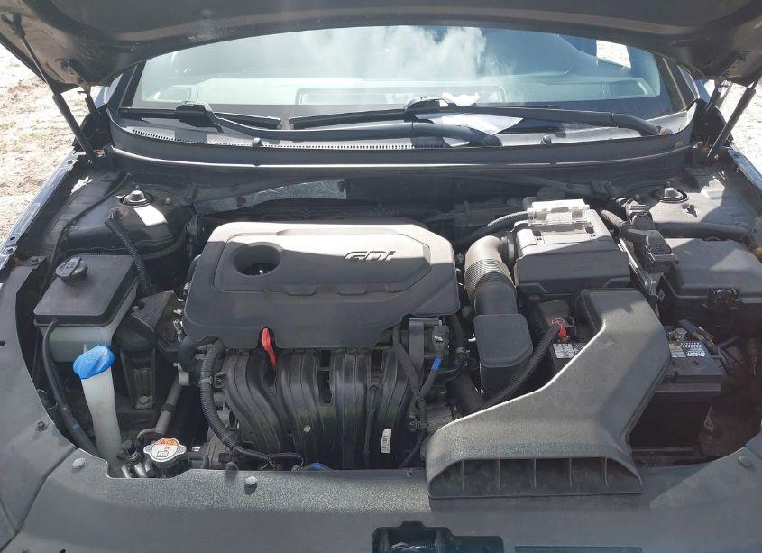 Photo 10 of 2019 Hyundai Sonata SPORT (VIN 5NPE34AF5KH740012)