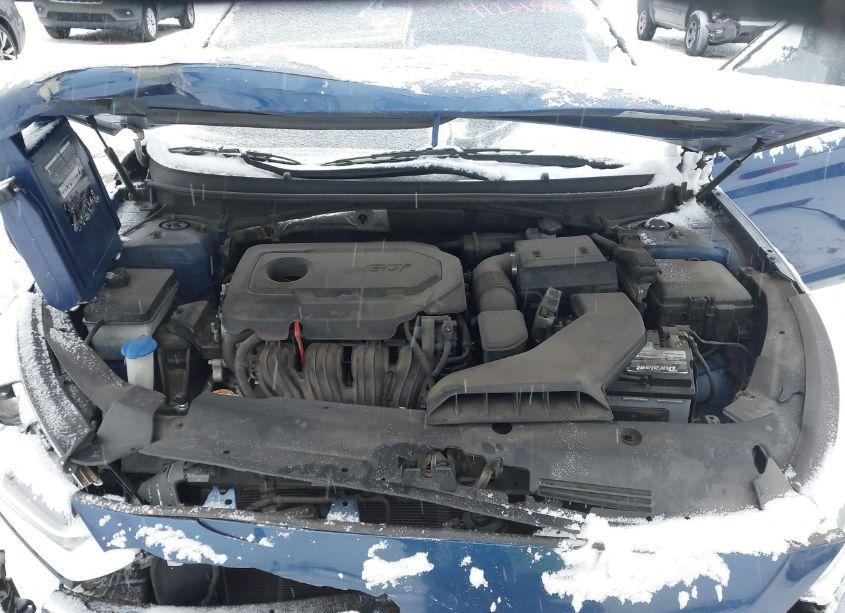 Photo 10 of 2019 Hyundai Sonata SEL (VIN 5NPE34AF5KH753164)