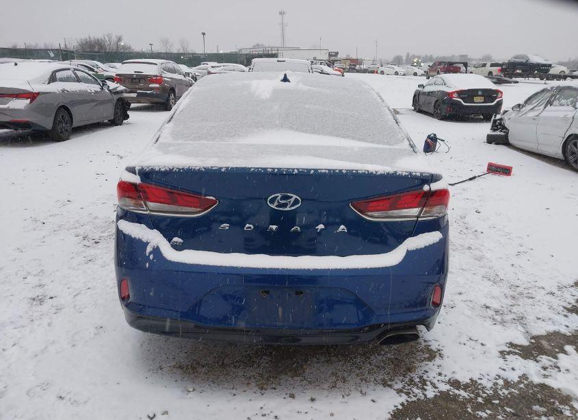 Photo 16 of 2019 Hyundai Sonata SEL (VIN 5NPE34AF5KH753164)