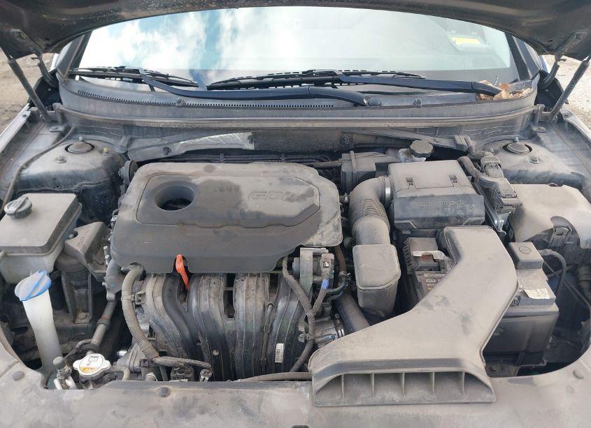 Photo 10 of 2019 Hyundai Sonata SEL (VIN 5NPE34AF5KH775472)