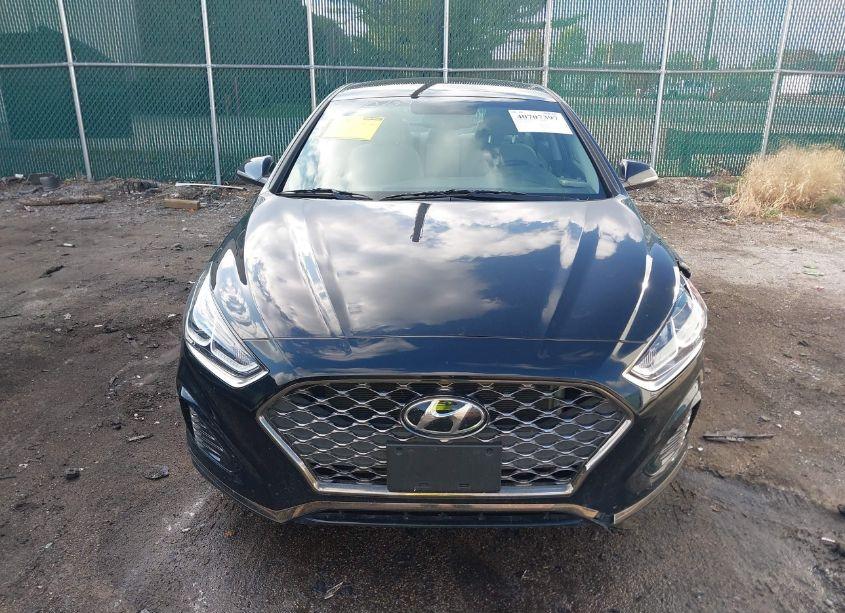 Photo 12 of 2019 Hyundai Sonata SEL (VIN 5NPE34AF5KH775472)