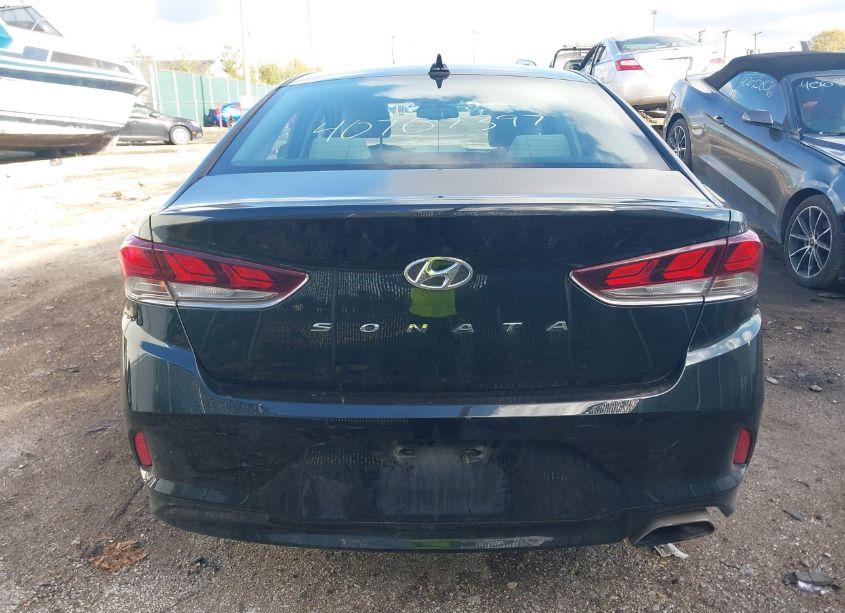 Photo 16 of 2019 Hyundai Sonata SEL (VIN 5NPE34AF5KH775472)