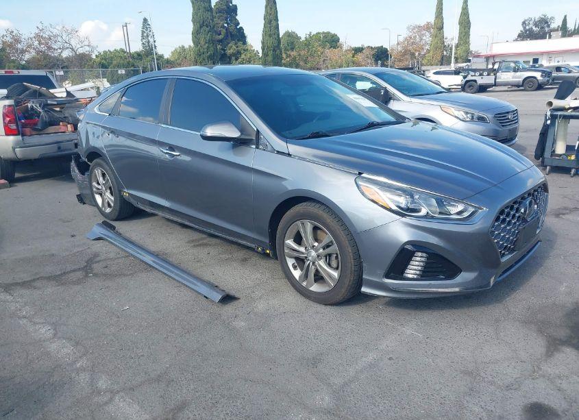 2019 Hyundai Sonata SEL (VIN 5NPE34AF5KH783569) main photo