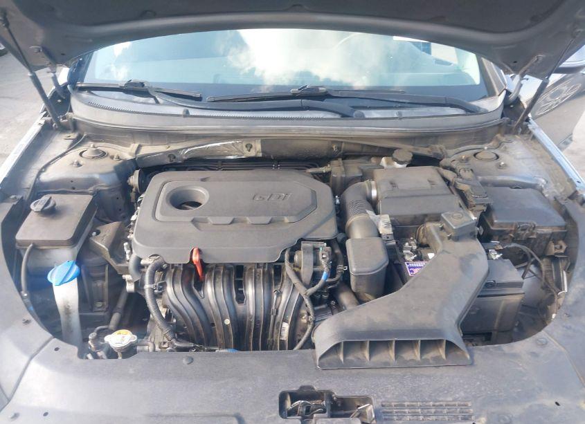 Photo 10 of 2019 Hyundai Sonata SEL (VIN 5NPE34AF5KH783569)