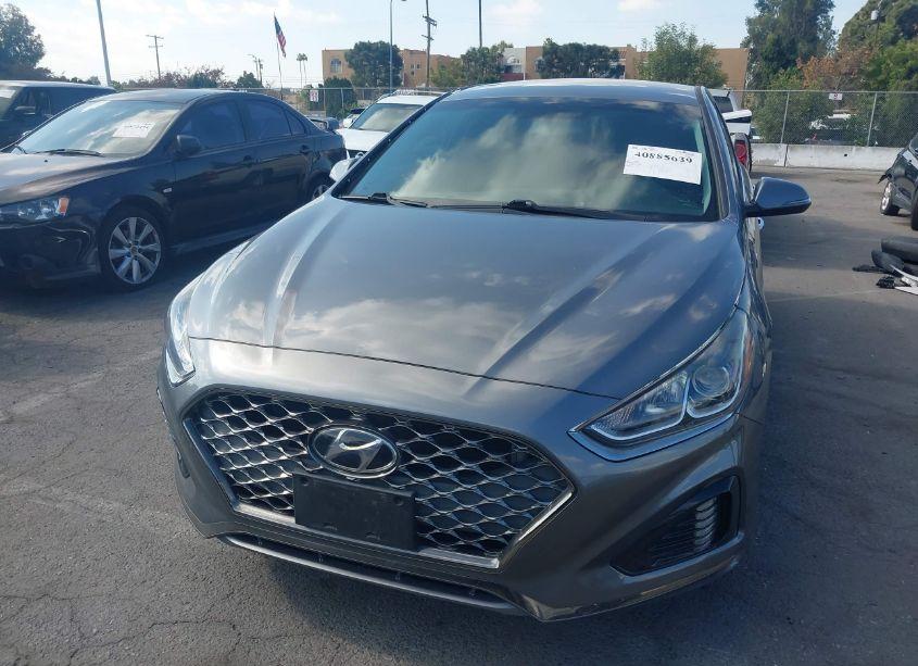 Photo 13 of 2019 Hyundai Sonata SEL (VIN 5NPE34AF5KH783569)