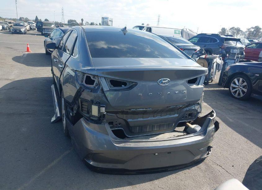Photo 17 of 2019 Hyundai Sonata SEL (VIN 5NPE34AF5KH783569)