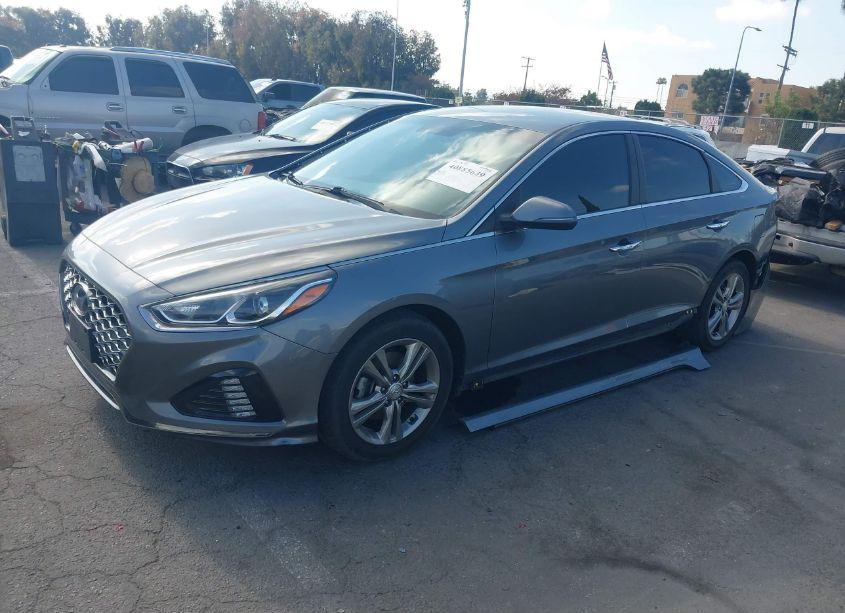 Photo 2 of 2019 Hyundai Sonata SEL (VIN 5NPE34AF5KH783569)
