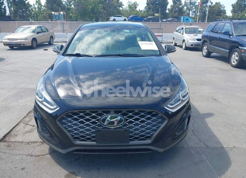 Photo 12 of 2019 Hyundai Sonata SEL (VIN 5NPE34AF5KH804646)