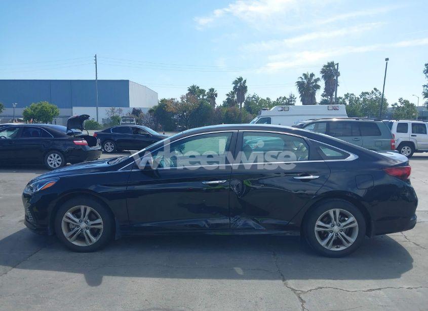 Photo 14 of 2019 Hyundai Sonata SEL (VIN 5NPE34AF5KH804646)