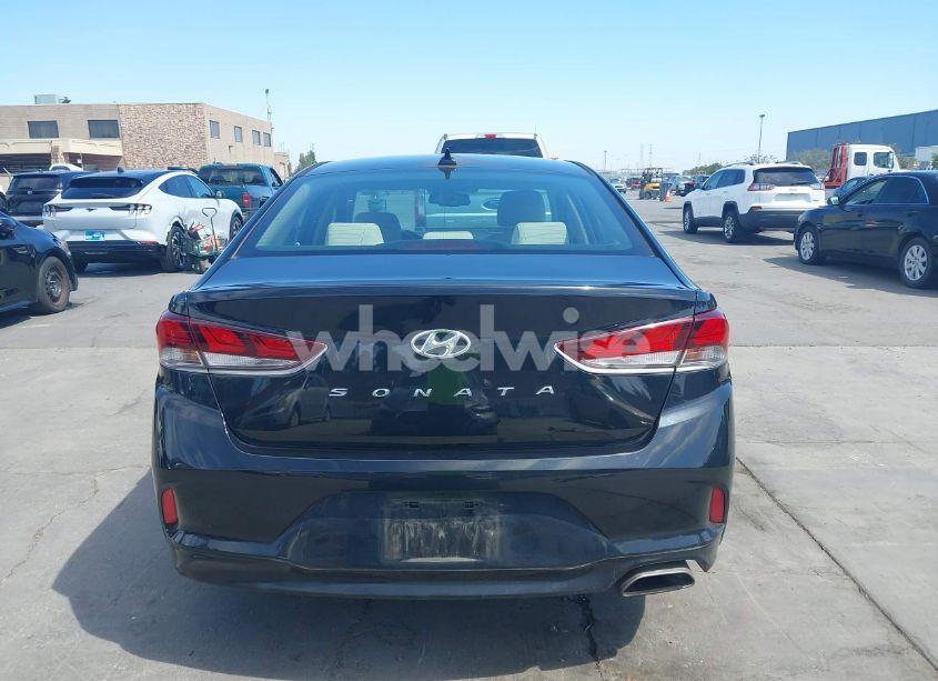 Photo 16 of 2019 Hyundai Sonata SEL (VIN 5NPE34AF5KH804646)