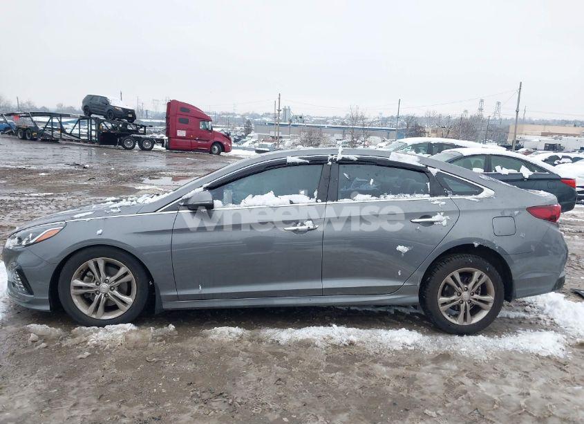 Photo 13 of 2019 Hyundai Sonata SEL (VIN 5NPE34AF5KH806249)