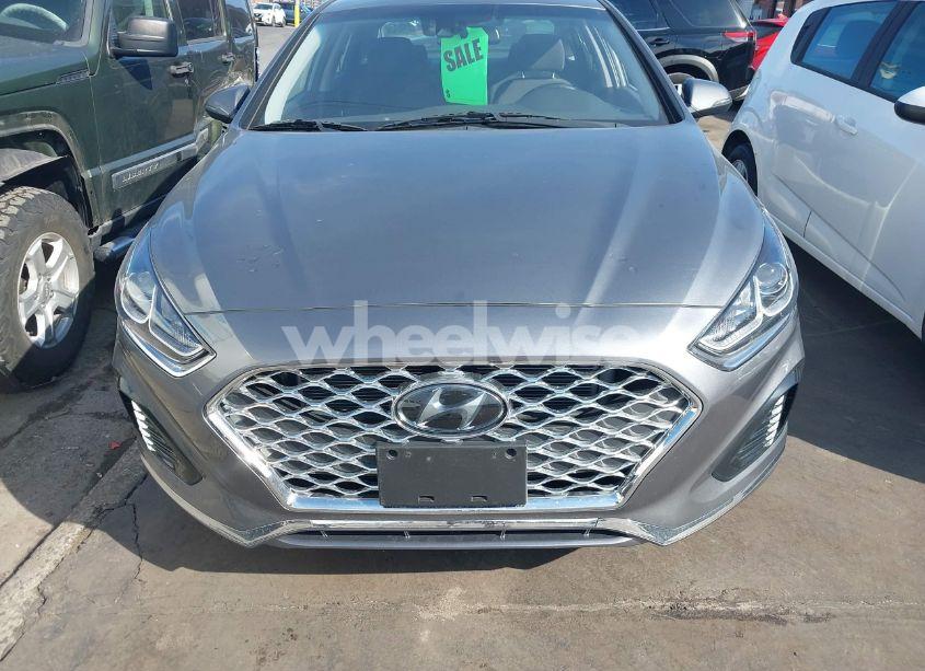 Photo 12 of 2019 Hyundai Sonata SEL (VIN 5NPE34AF5KH815856)