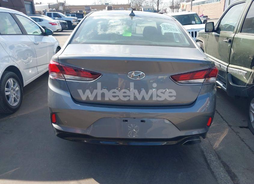 Photo 16 of 2019 Hyundai Sonata SEL (VIN 5NPE34AF5KH815856)