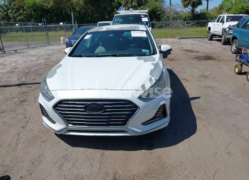 Photo 12 of 2018 Hyundai Sonata SEL (VIN 5NPE34AF6JH600274)