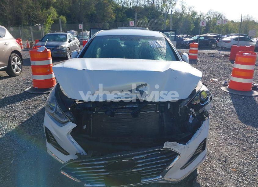Photo 12 of 2018 Hyundai Sonata SEL (VIN 5NPE34AF6JH613395)