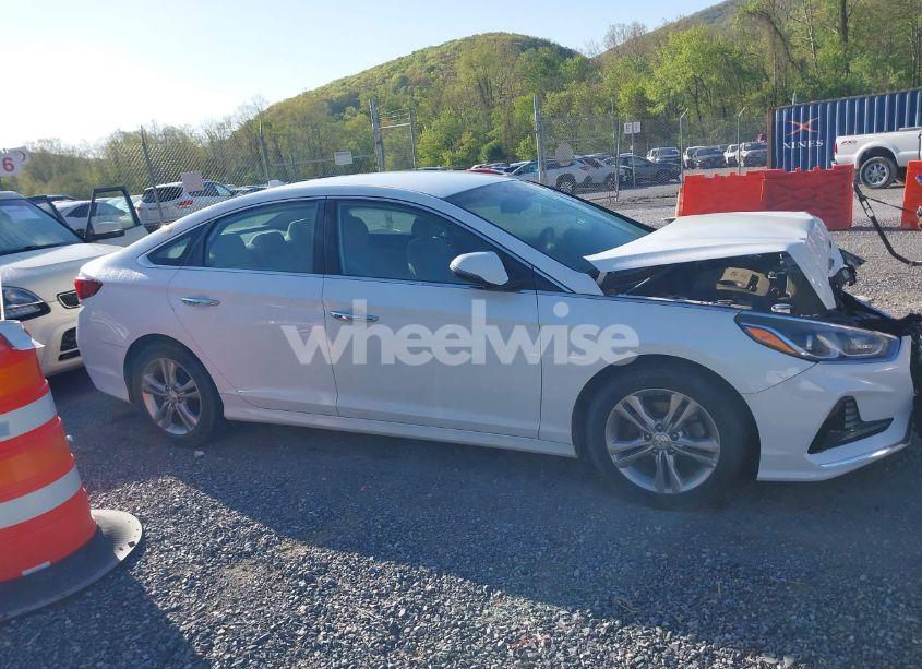 Photo 13 of 2018 Hyundai Sonata SEL (VIN 5NPE34AF6JH613395)