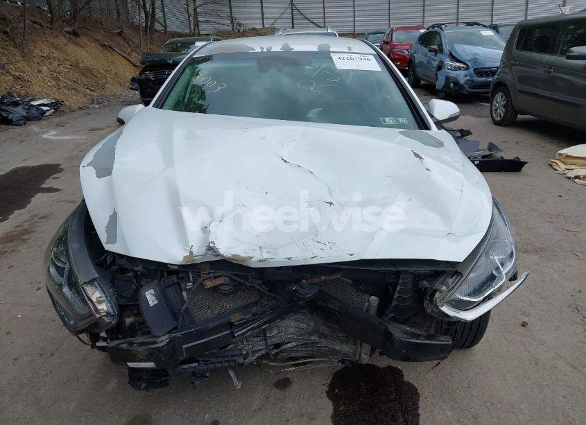 Photo 12 of 2018 Hyundai Sonata SEL (VIN 5NPE34AF6JH648003)