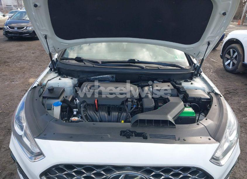 Photo 10 of 2018 Hyundai Sonata SPORT+ (VIN 5NPE34AF6JH727977)