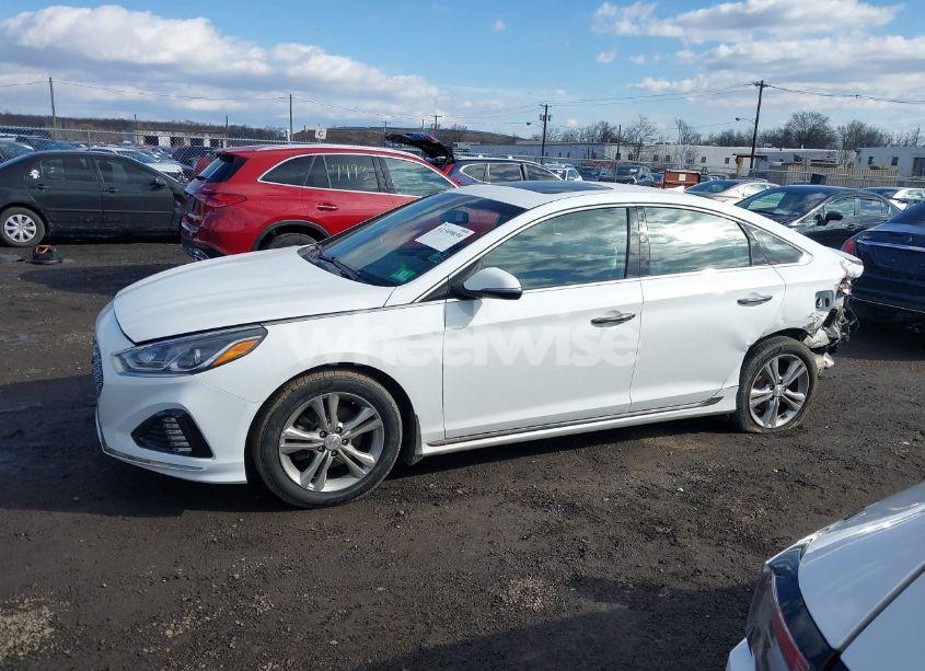 Photo 14 of 2018 Hyundai Sonata SPORT+ (VIN 5NPE34AF6JH727977)