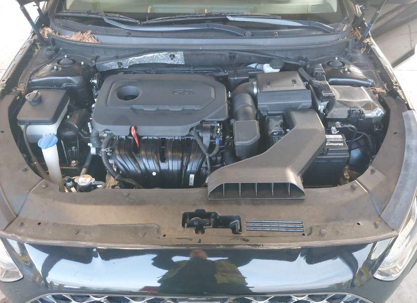 Photo 10 of 2019 Hyundai Sonata SEL (VIN 5NPE34AF6KH735434)