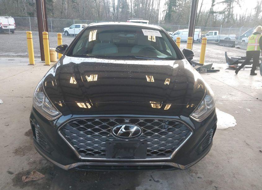 Photo 12 of 2019 Hyundai Sonata SEL (VIN 5NPE34AF6KH735434)