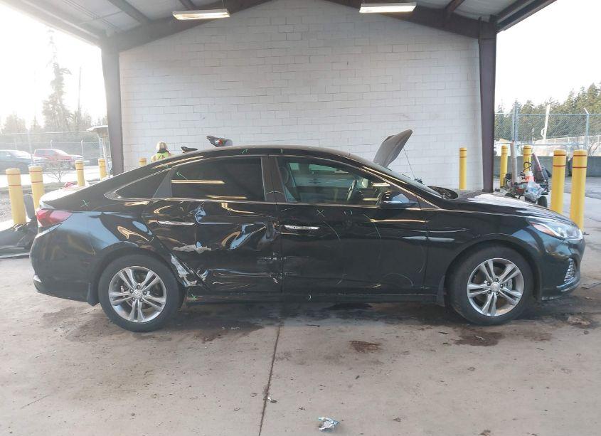 Photo 13 of 2019 Hyundai Sonata SEL (VIN 5NPE34AF6KH735434)