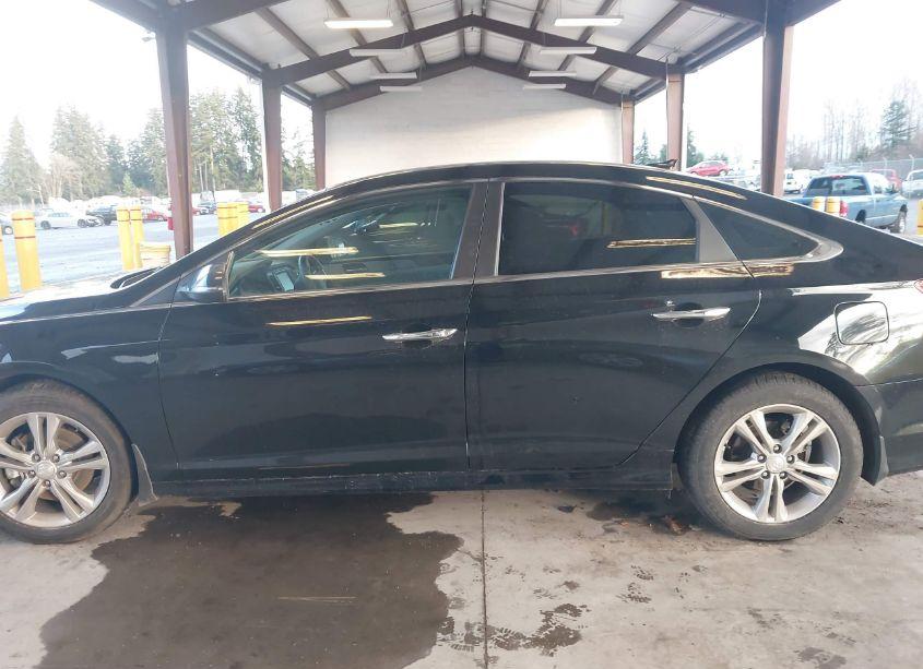 Photo 14 of 2019 Hyundai Sonata SEL (VIN 5NPE34AF6KH735434)