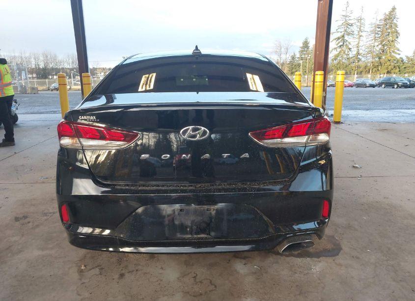 Photo 16 of 2019 Hyundai Sonata SEL (VIN 5NPE34AF6KH735434)