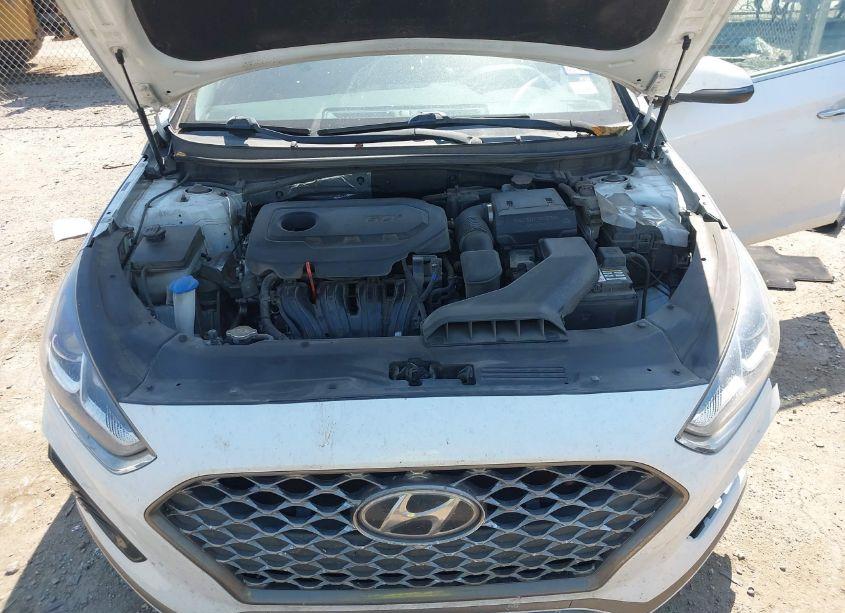 Photo 10 of 2019 Hyundai Sonata SEL (VIN 5NPE34AF6KH759927)