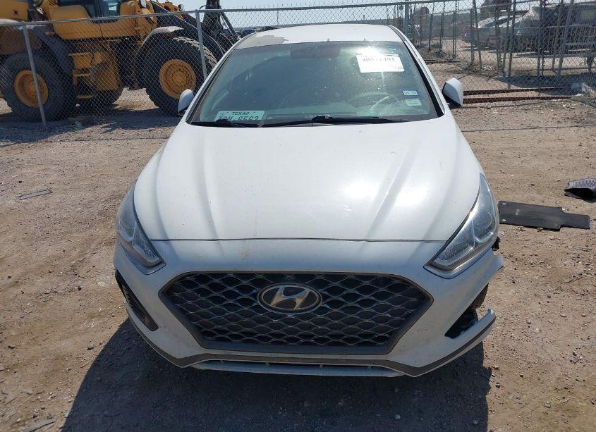 Photo 12 of 2019 Hyundai Sonata SEL (VIN 5NPE34AF6KH759927)
