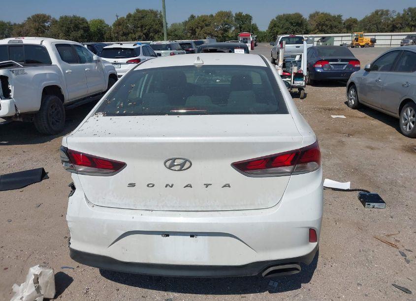 Photo 16 of 2019 Hyundai Sonata SEL (VIN 5NPE34AF6KH759927)