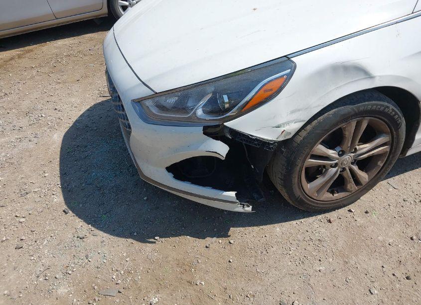 Photo 6 of 2019 Hyundai Sonata SEL (VIN 5NPE34AF6KH759927)