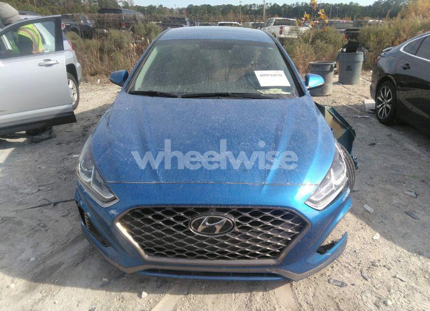Photo 12 of 2019 Hyundai Sonata SEL (VIN 5NPE34AF6KH760270)