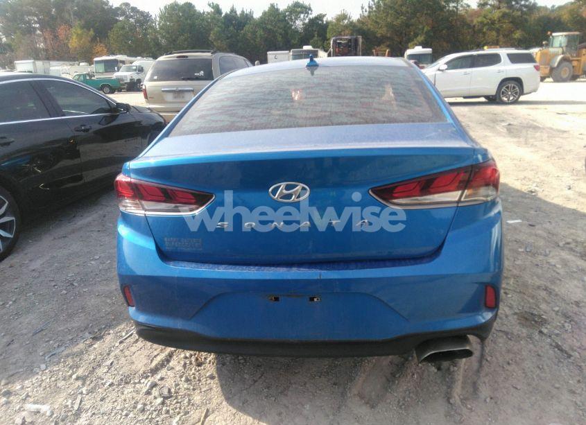 Photo 16 of 2019 Hyundai Sonata SEL (VIN 5NPE34AF6KH760270)