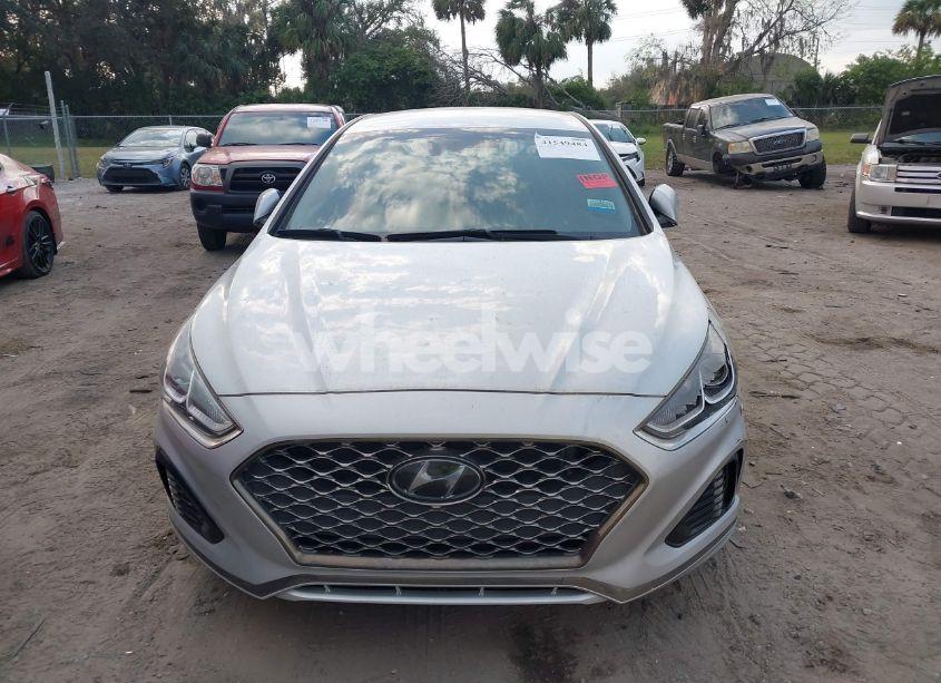 Photo 12 of 2019 Hyundai Sonata SEL (VIN 5NPE34AF6KH779076)