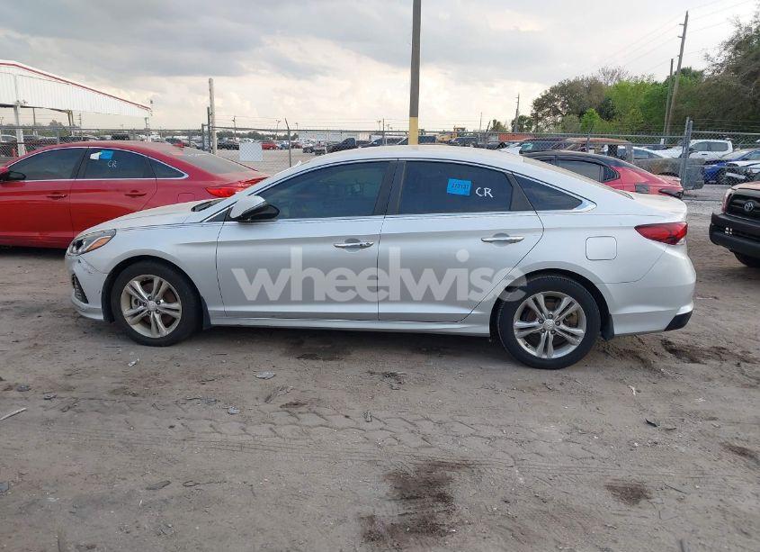 Photo 14 of 2019 Hyundai Sonata SEL (VIN 5NPE34AF6KH779076)