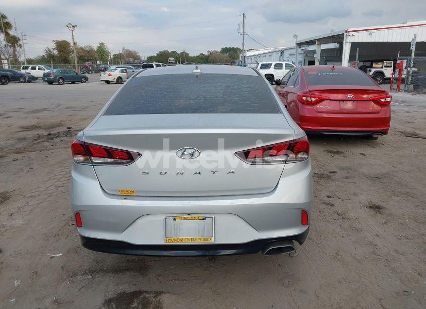 Photo 16 of 2019 Hyundai Sonata SEL (VIN 5NPE34AF6KH779076)