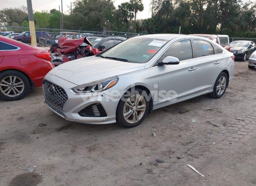 Photo 2 of 2019 Hyundai Sonata SEL (VIN 5NPE34AF6KH779076)
