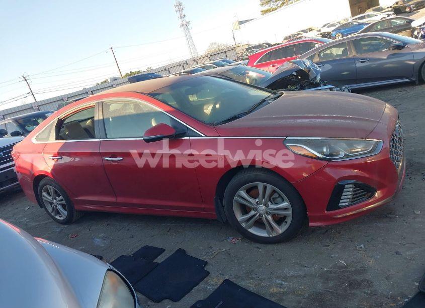 Photo 12 of 2019 Hyundai Sonata SEL (VIN 5NPE34AF6KH781992)