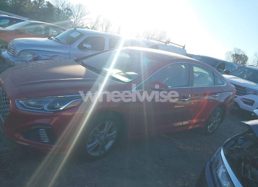 Photo 13 of 2019 Hyundai Sonata SEL (VIN 5NPE34AF6KH781992)