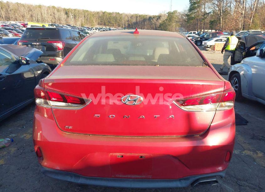 Photo 15 of 2019 Hyundai Sonata SEL (VIN 5NPE34AF6KH781992)