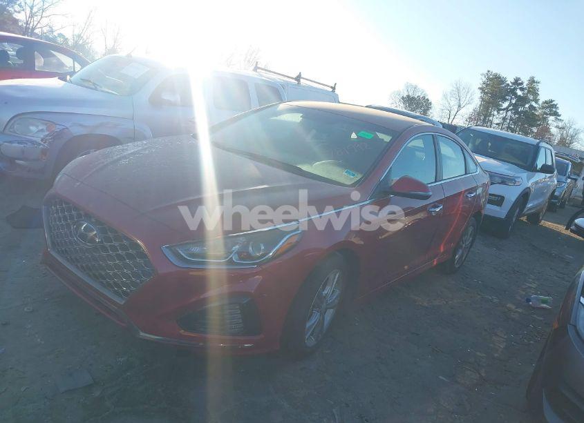 Photo 2 of 2019 Hyundai Sonata SEL (VIN 5NPE34AF6KH781992)