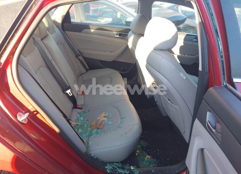 Photo 8 of 2019 Hyundai Sonata SEL (VIN 5NPE34AF6KH781992)